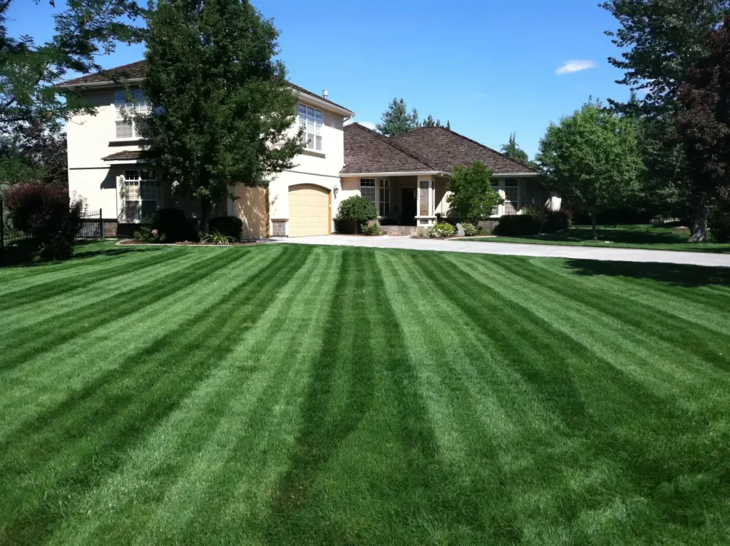 A beautifully maintained front lawn with precise mowing stripes, leading up to a large, two-story house with beige exterior and a shingled roof. The landscaping includes well-trimmed bushes and trees, creating an attractive and inviting residential property.